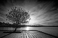 Contraluz