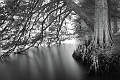 RinconUmbrio