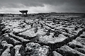 Dolmen