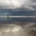 SurfinBlues